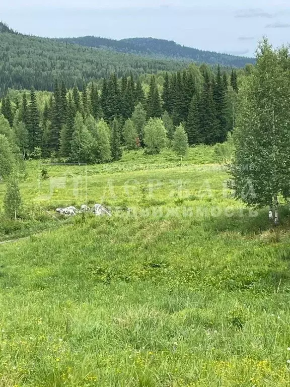 Участок в Кемеровская область, Таштагол ул. Ушакова (15.0 сот.) - Фото 1