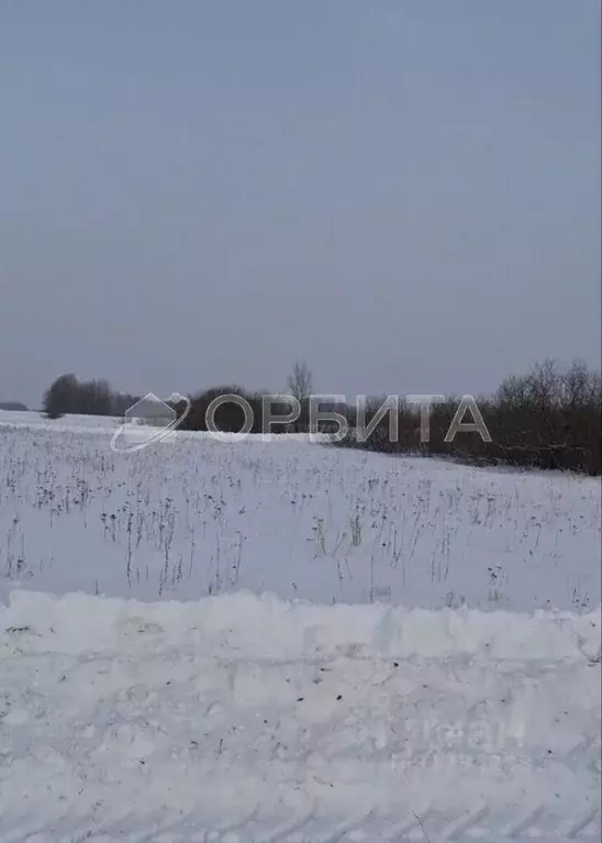 Участок в Тюменская область, Тюменский район, д. Марай  (13.73 сот.) - Фото 1