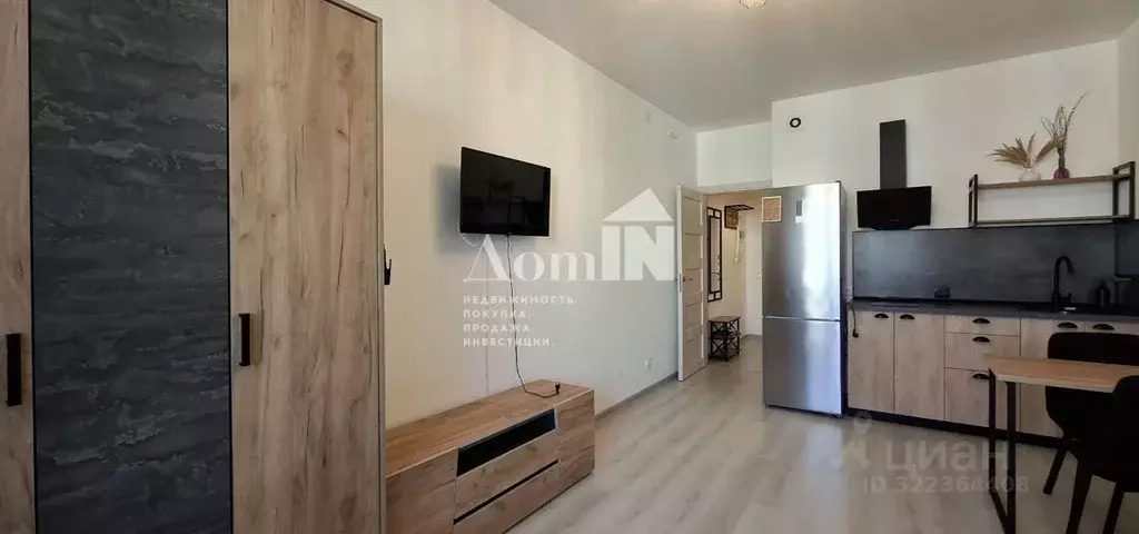 Студия Санкт-Петербург аллея Арцеуловская, 21 (25.0 м) - Фото 1