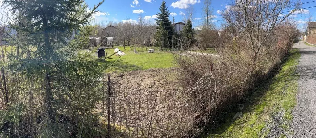 Участок в Московская область, Подольск городской округ, Флора СНТ 41 ... - Фото 1