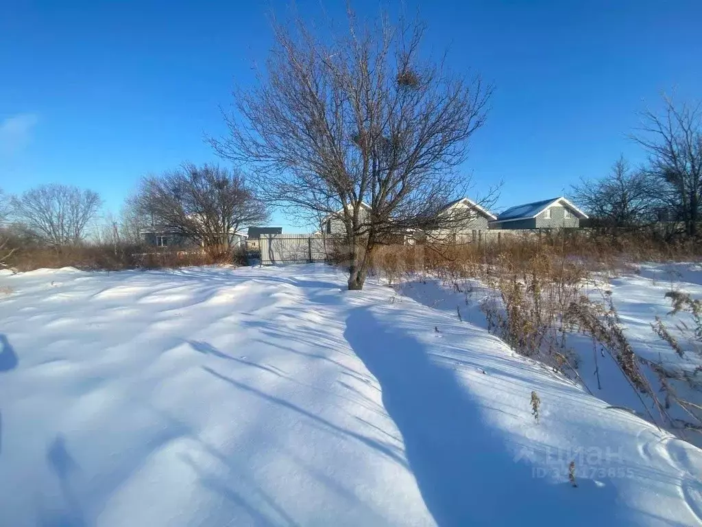 Участок в Хабаровский край, Хабаровский район, с. Ракитное, 73-й кв-л  ... - Фото 2