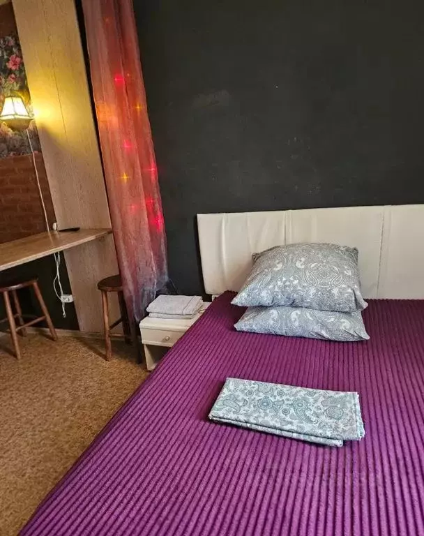 1-к кв. Томская область, Томск ул. Мичурина, 99Ас1 (25.0 м) - Фото 2