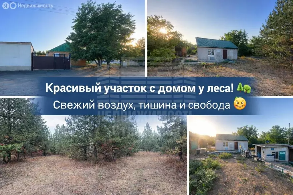 Дом в село Большая Неклиновка, Горный переулок, 13 (45 м) - Фото 1