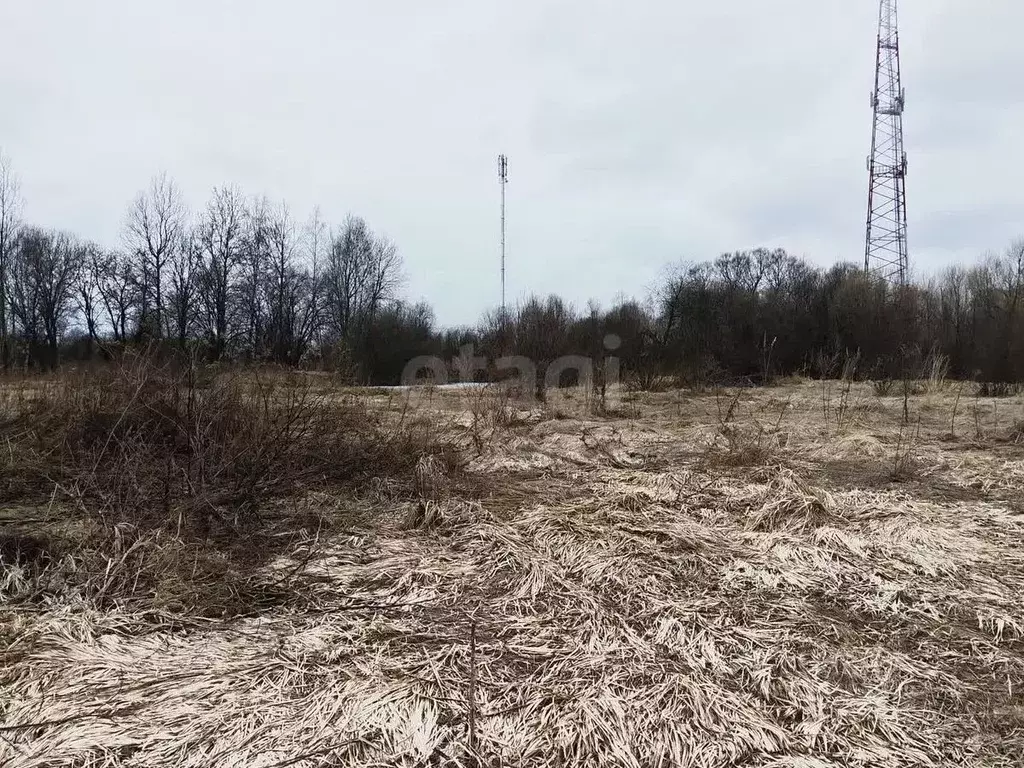 Участок в Московская область, Талдомский городской округ, д. Кунилово  ... - Фото 1