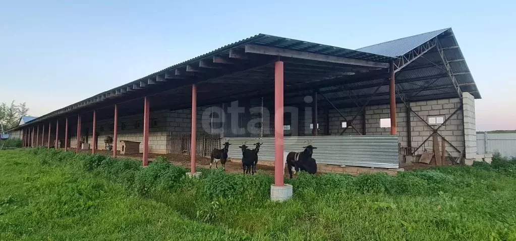 Помещение свободного назначения в Калужская область, пос. Бабынино ул. ... - Фото 1