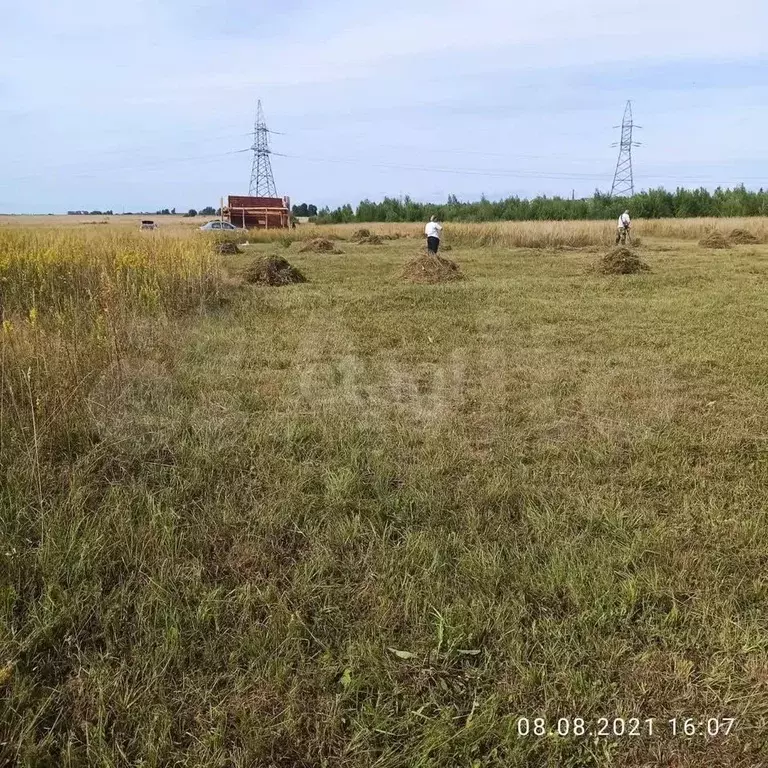 Участок 12,6 сот. (ИЖС) - Фото 1