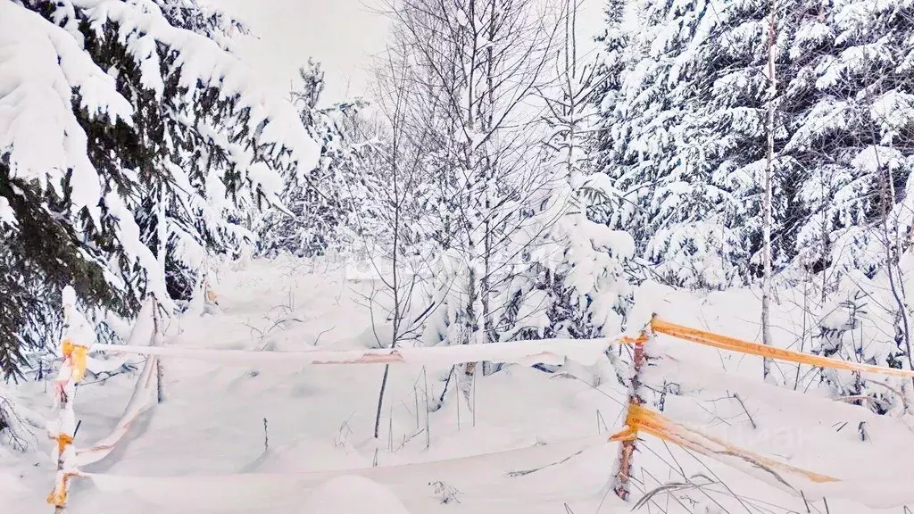 Участок в Московская область, Наро-Фоминский городской округ, д. ... - Фото 2