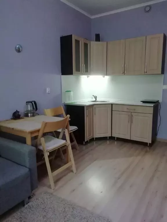 Продаётся квартира-студия, 25.2 м - Фото 0