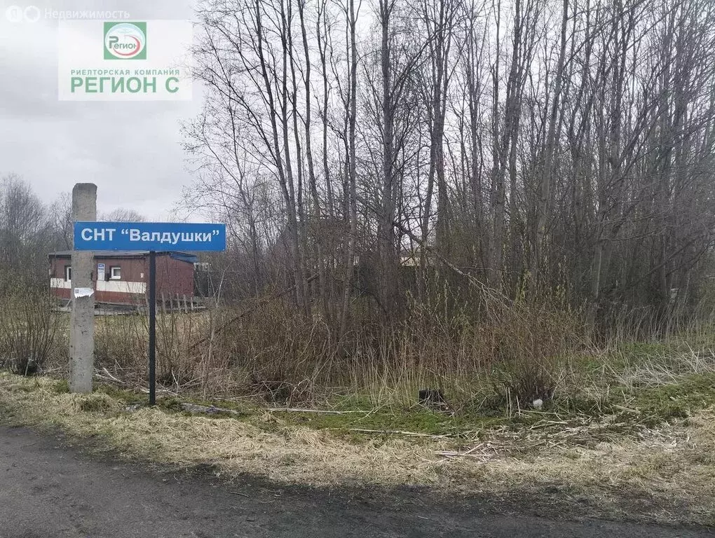 Участок в Архангельская область, Приморский муниципальный округ, СНТ ... - Фото 2
