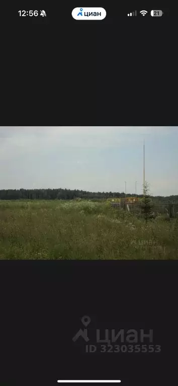 Участок в Ярославская область, Борисоглебский муниципальный округ, д. ... - Фото 1