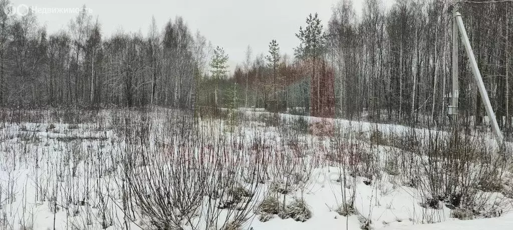 Участок в Виллозское городское поселение, массив Офицерское Село (17 ... - Фото 1