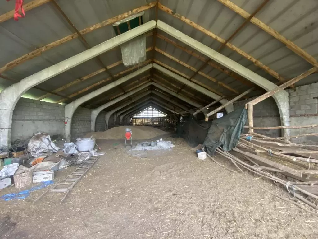 Участок в Краснодарский край, Новокубанский район, Бесскорбненское ... - Фото 1