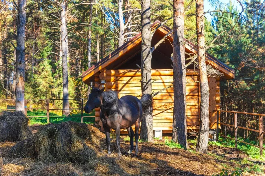 Дом в Красноярский край, Ачинский район, с. Ястребово ул. Кирова (460 ... - Фото 0