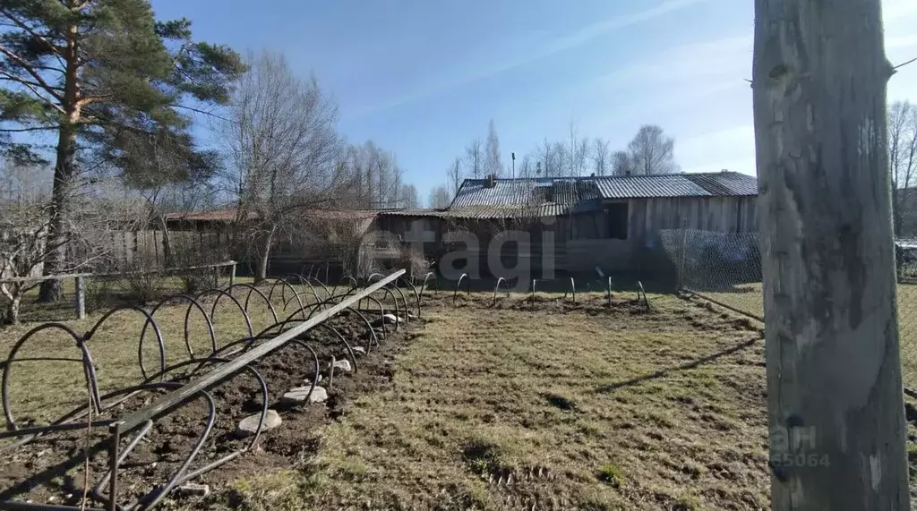 Участок в Ленинградская область, Киришский район, Пчевжинское с/пос, ... - Фото 1