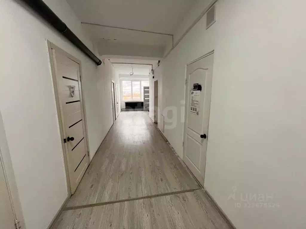 Офис в Курганская область, Курган ул. Карла Маркса, 106 (10 м) - Фото 1