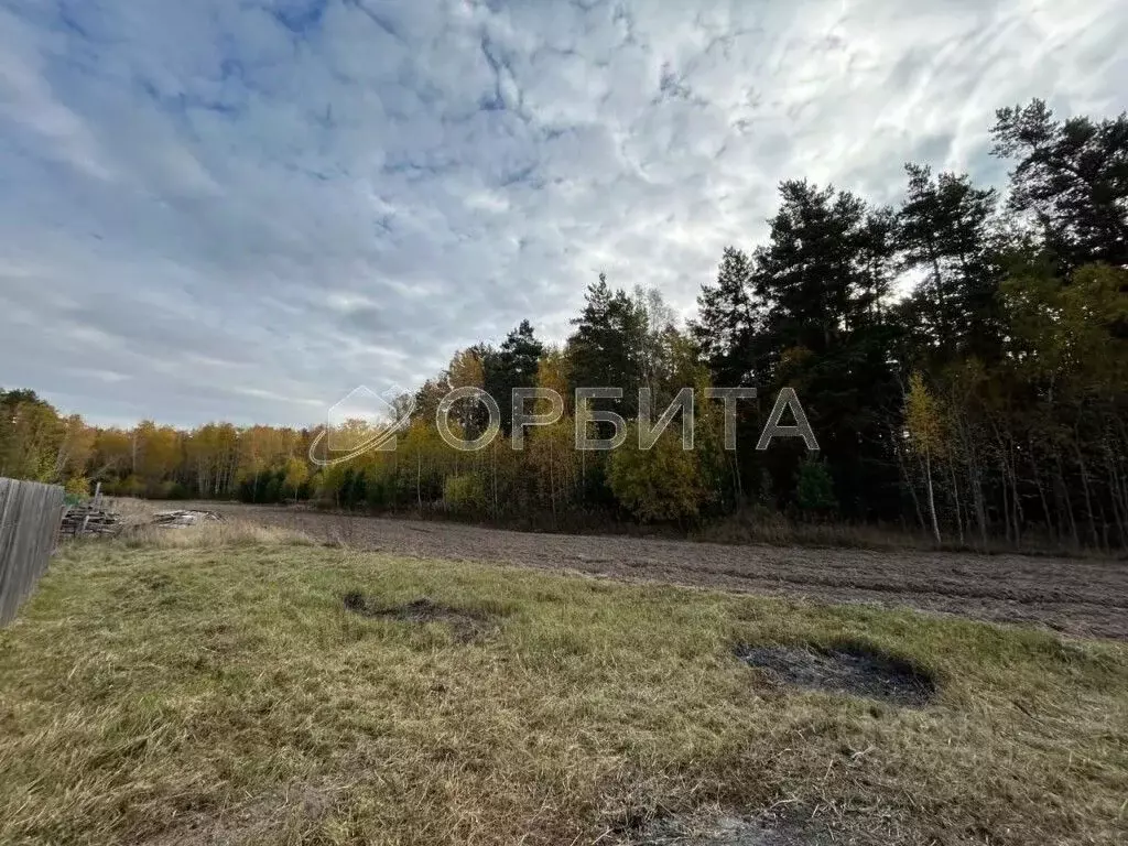 Дом в Тюменская область, Тюменский муниципальный округ, д. Падерина ... - Фото 2