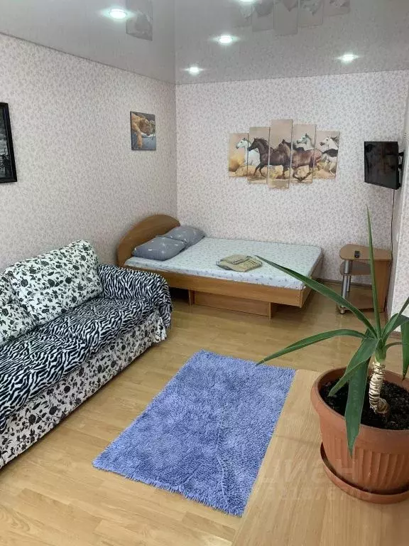 1-к кв. Тюменская область, Ишим ул. Суворова, 41 (30.0 м) - Фото 1