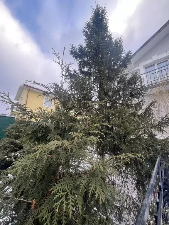 Дом в Московская область, Одинцовский городской округ, д. Раздоры 5/10 ... - Фото 1