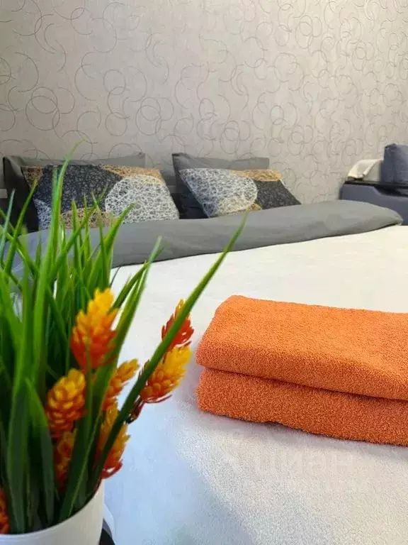 2-к кв. Челябинская область, Аша Красногвардейская ул., 12 (43.0 м) - Фото 1