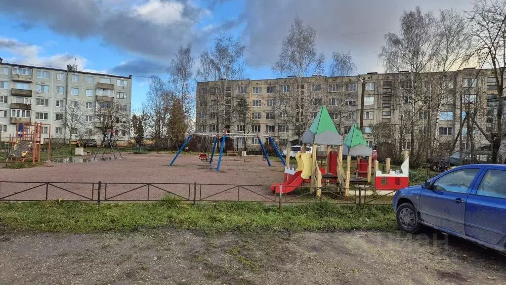 2-к кв. Ленинградская область, Гатчинский муниципальный округ, д. ... - Фото 2