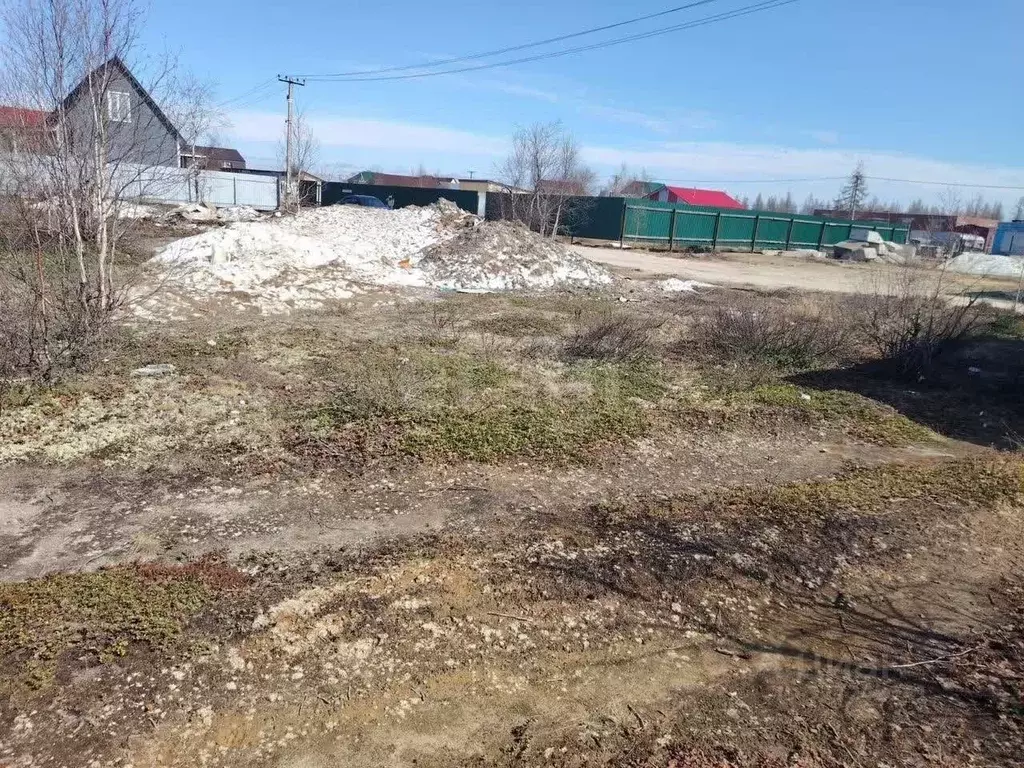 Участок в Ямало-Ненецкий АО, Новый Уренгой Титан ДНТ, 77 (6.0 сот.) - Фото 1