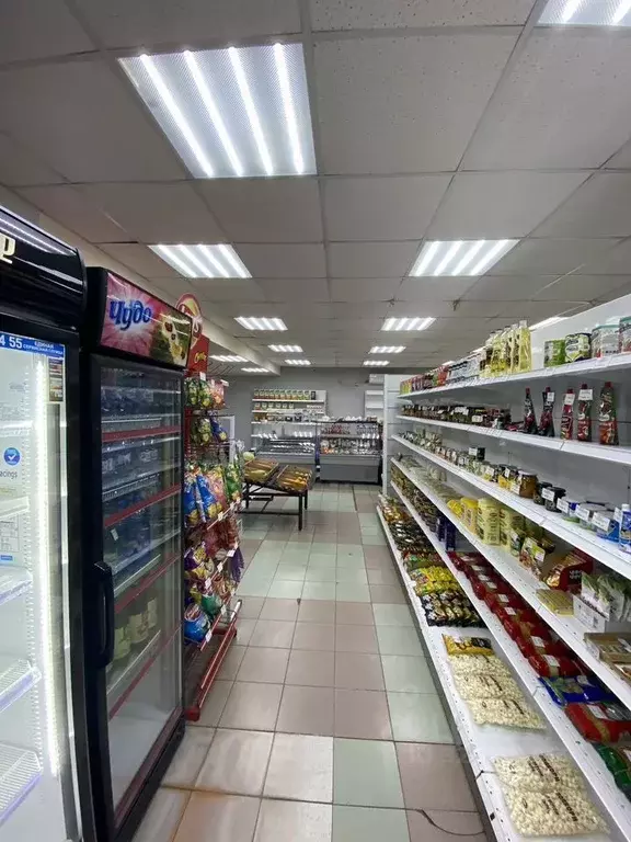 Торговая площадь в Краснодарский край, Краснодар Центральный мкр, ул. ... - Фото 2