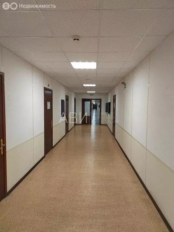 Офис (30 м) - Фото 2
