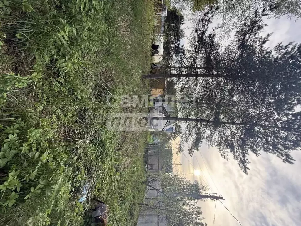 Дом в Московская область, Куровское Орехово-Зуевский городской округ,  ... - Фото 2