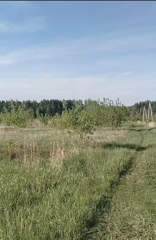 Участок в Башкортостан, Чишминский район, Лесной сельсовет, с. ... - Фото 2