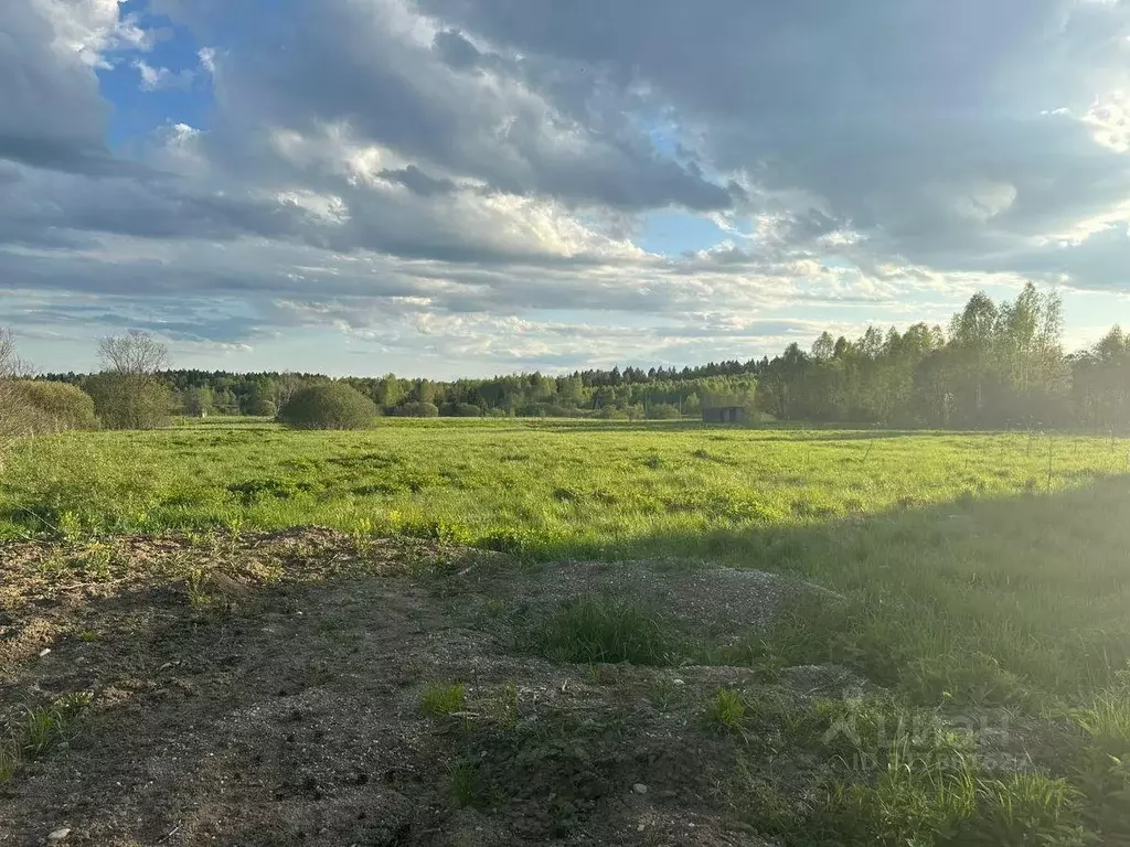Участок, 20 сот., 0 - Фото 0