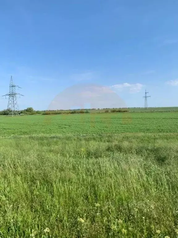 Участок в Крым, Сакский район, с. Лесновка ул. Садовая (6.27 сот.) - Фото 2