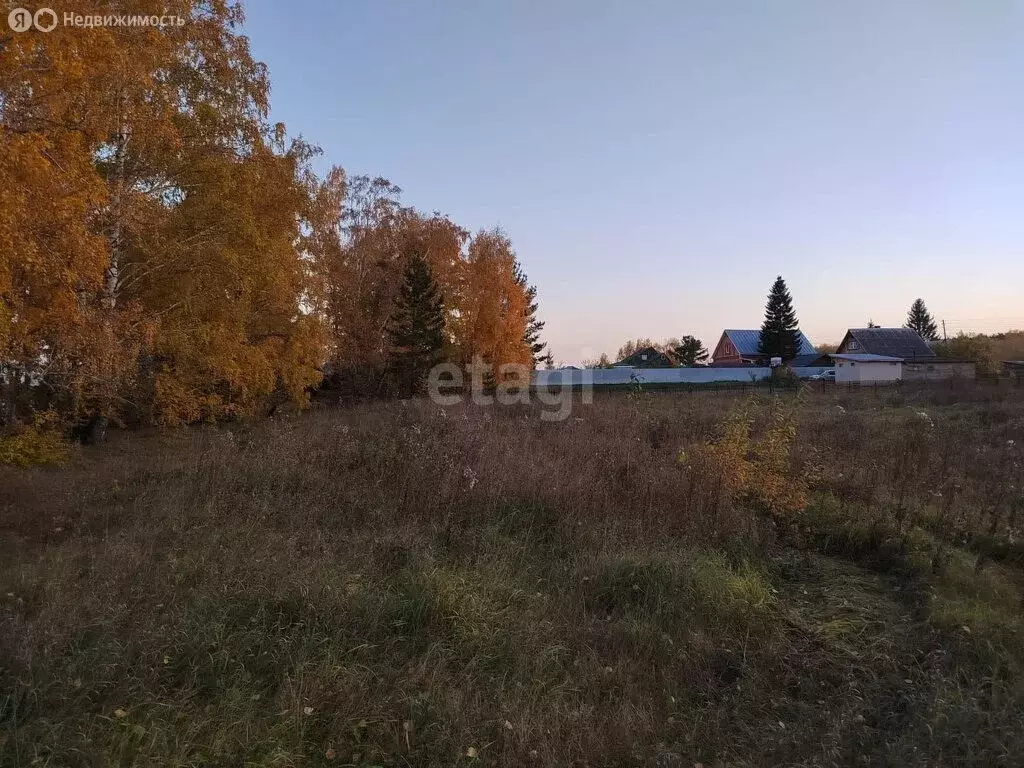 Участок в Ордынский район, село Кирза (15 м) - Фото 1