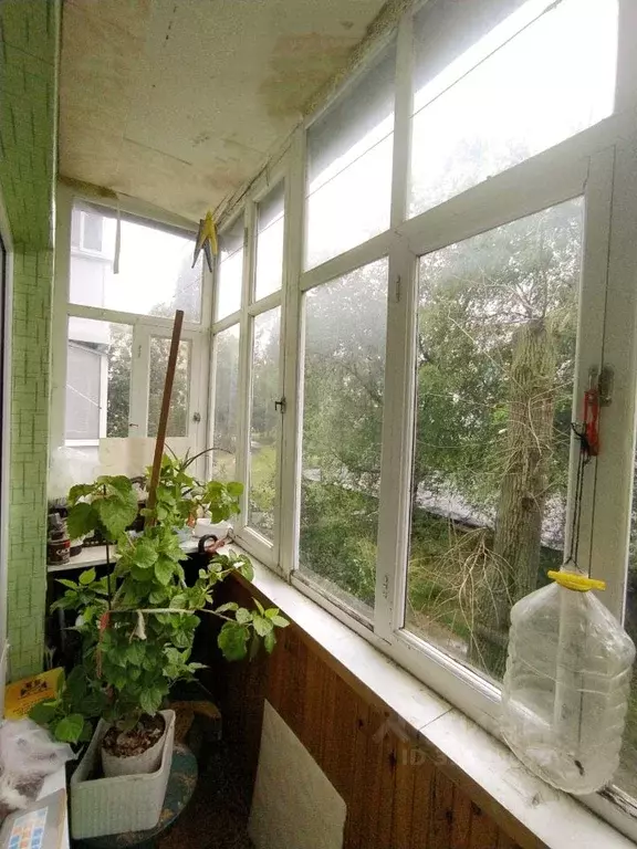2-к кв. Саратовская область, Балаково ул. Менделеева, 10 (44.5 м) - Фото 0