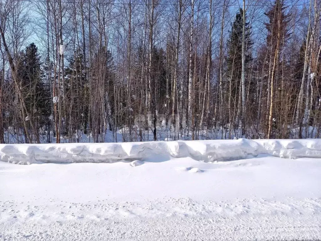 Участок в Ханты-Мансийский АО, Сургутский район, Барсово городское ... - Фото 0