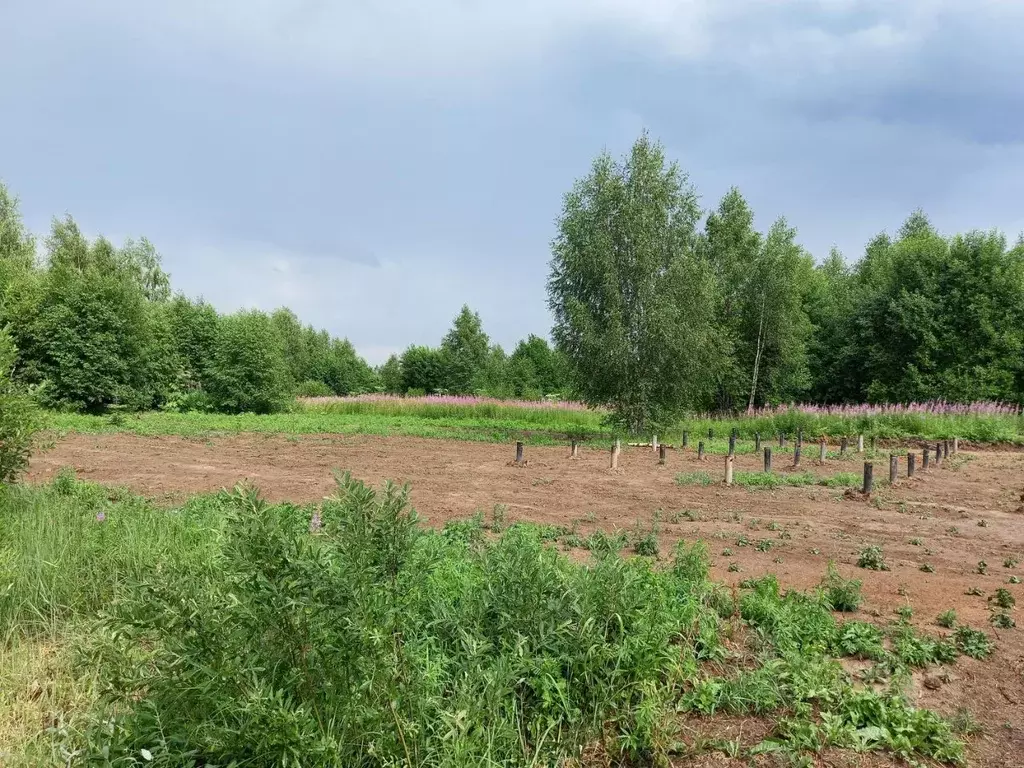 Участок в Московская область, Клин  (6.0 сот.) - Фото 1