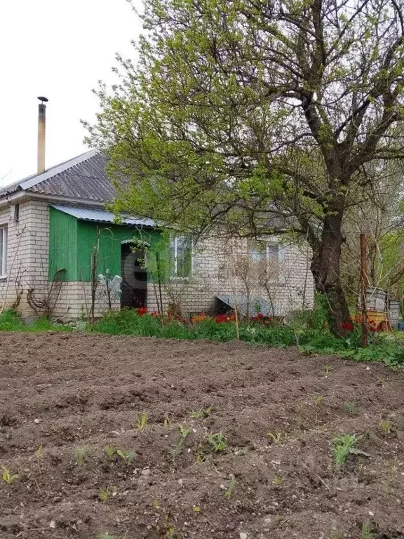 Дом в Калининградская область, Озерский муниципальный округ, пос. ... - Фото 2