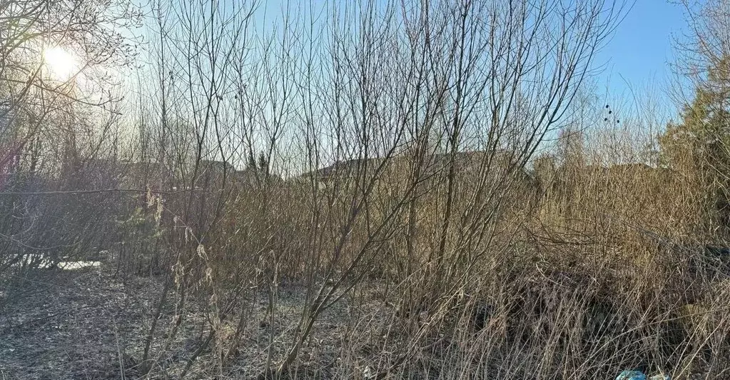 Участок в Московская область, Богородский городской округ, д. ... - Фото 0