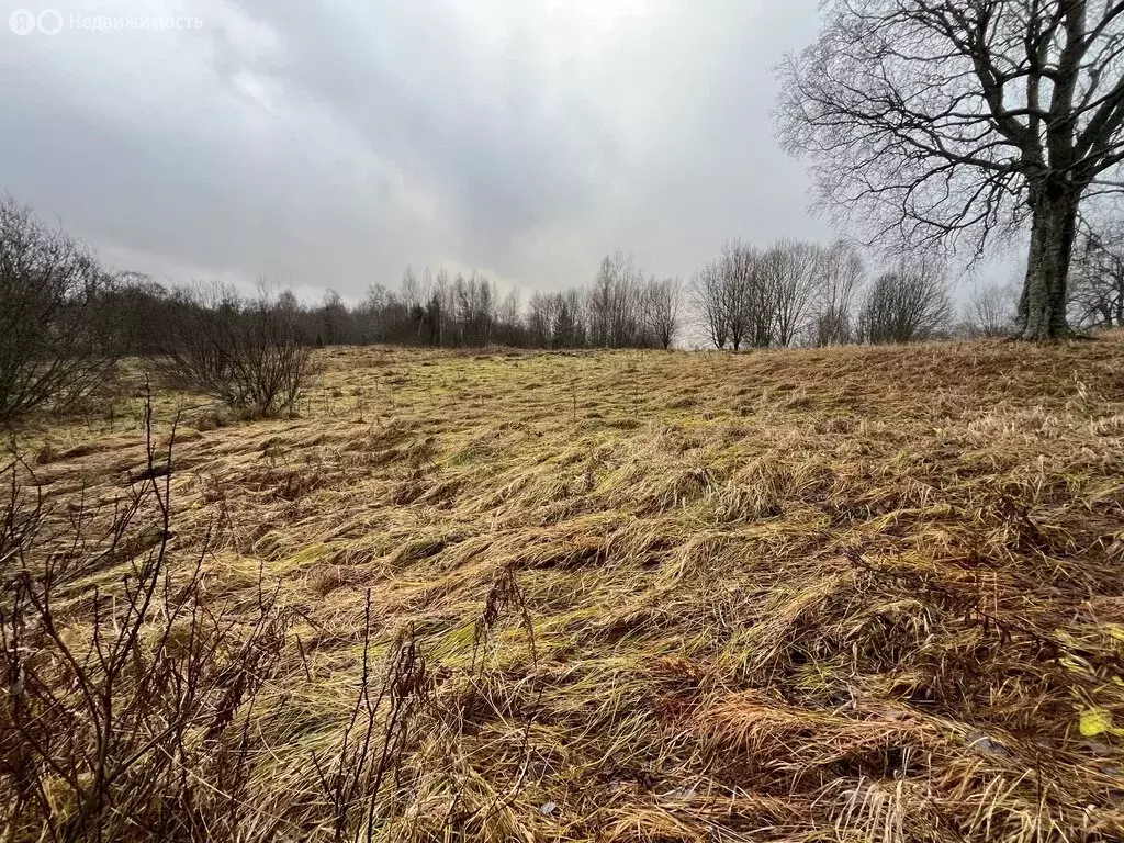 Участок в Ивантеевское сельское поселение, деревня Новинка (37 м) - Фото 1