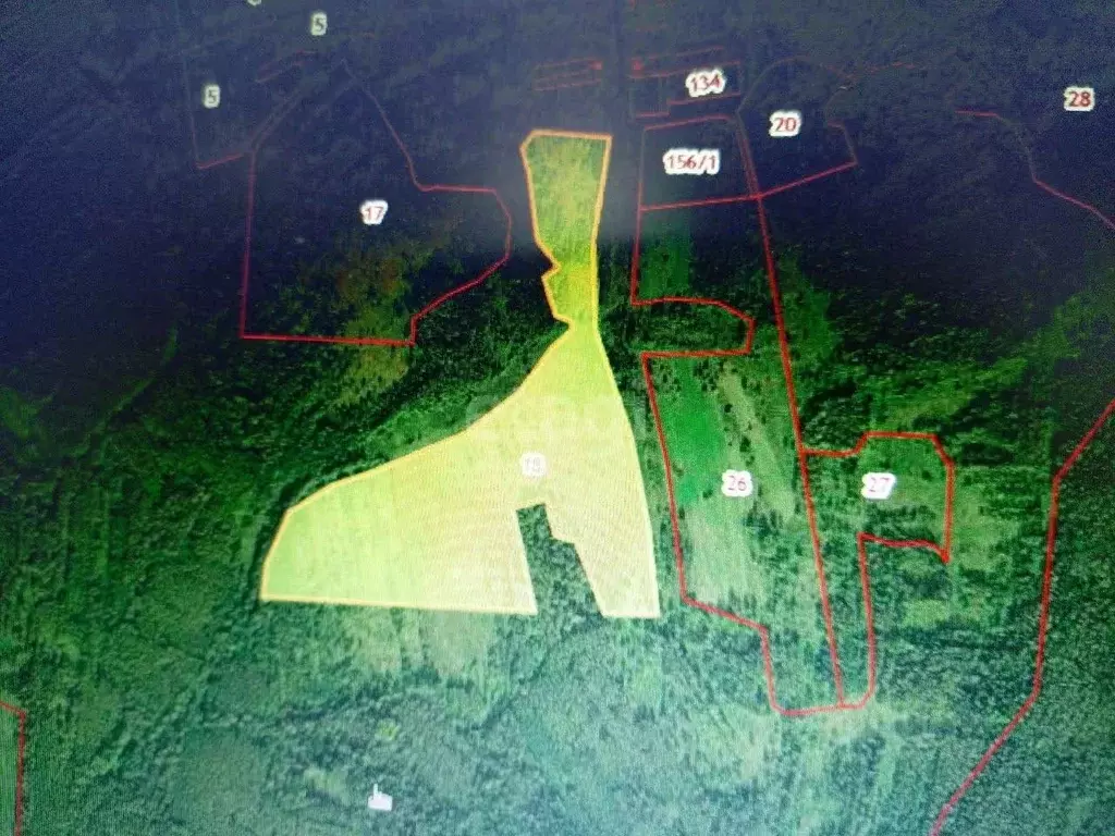 Участок в Ярославская область, Тутаевский муниципальный округ, ... - Фото 1