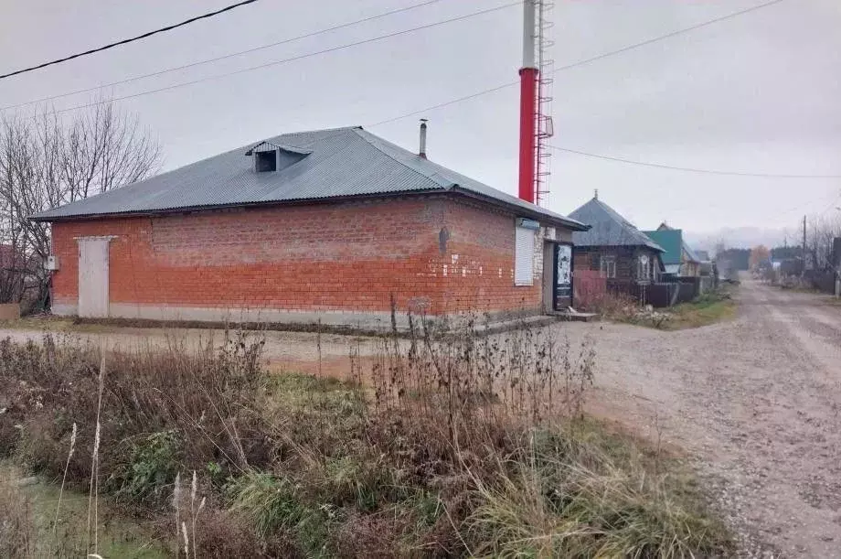 Торговая площадь в Пермский край, Александровск Яйва пгт, ул. Ленина, ... - Фото 2