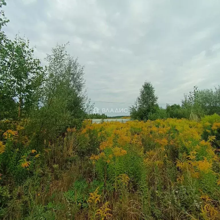 Участок в Нижегородская область, Бор муниципальный округ, д. Княжево  ... - Фото 2