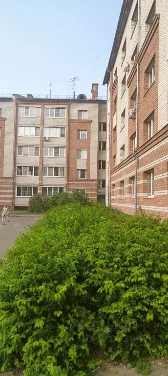 2-к кв. Ивановская область, Кохма ул. Кочетовой, 61 (60.2 м) - Фото 1