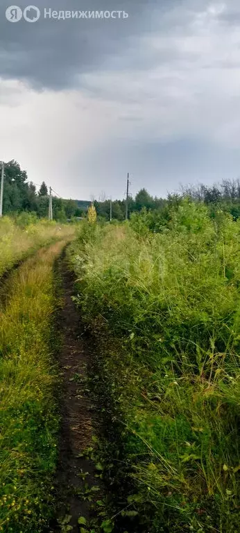 Участок в деревня Кулешовка, улица Рядового Ивлиева (10 м) - Фото 1