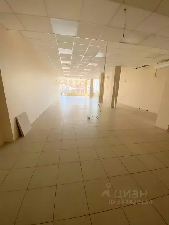Помещение свободного назначения в Краснодарский край, Сочи Донская ... - Фото 1
