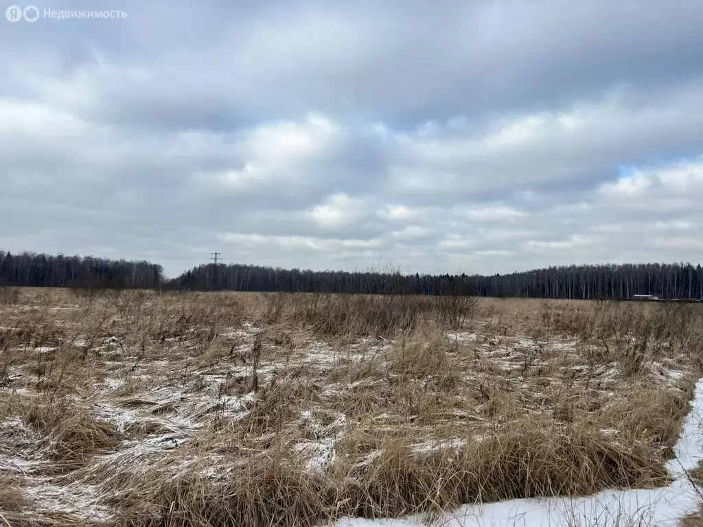 Участок в Московская область, муниципальный округ Чехов, деревня ... - Фото 1