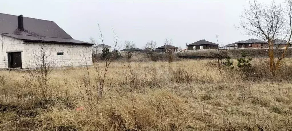 Участок в Липецкая область, Липецкий муниципальный округ, с. Большая ... - Фото 2