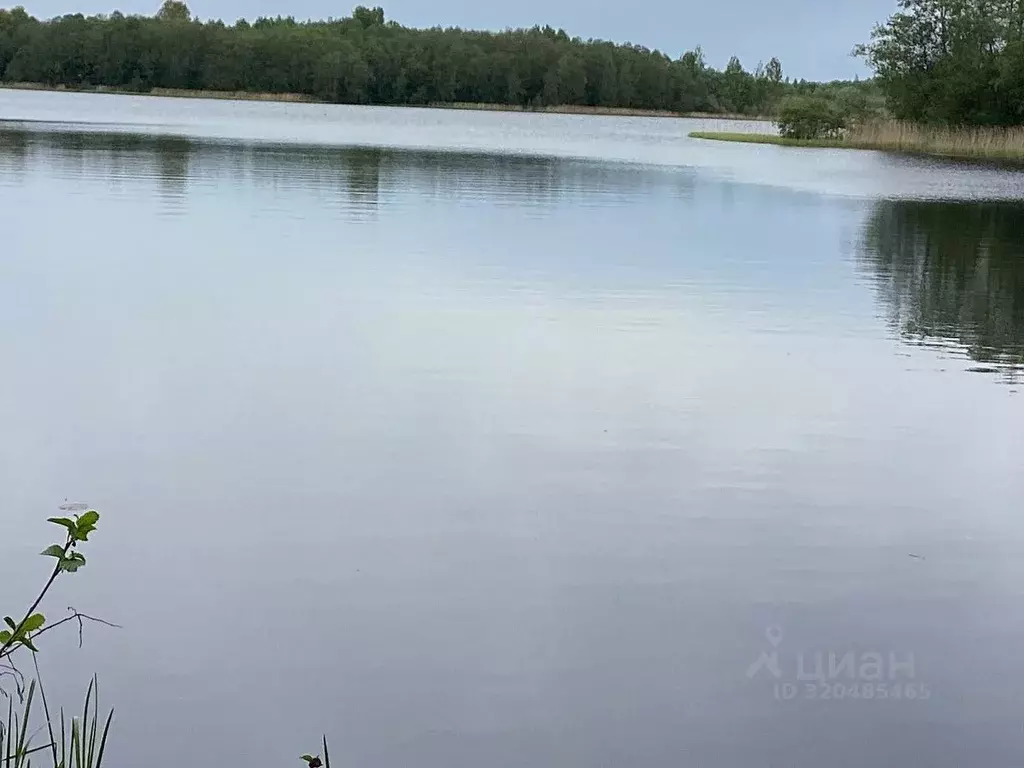 Участок в Смоленская область, Гагаринский муниципальный округ, ... - Фото 1