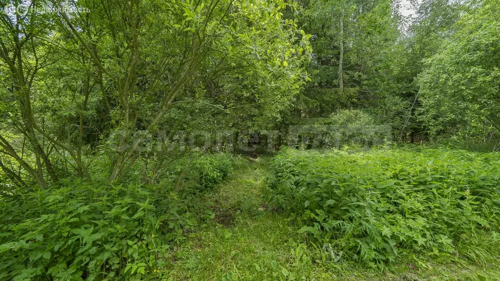 Участок в Наро-Фоминский городской округ, СНТ Мечта (6 м) - Фото 1
