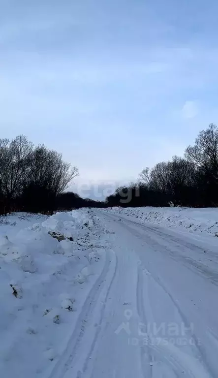 Участок в Сахалинская область, Анивский городской округ, с. Мицулевка  ... - Фото 1