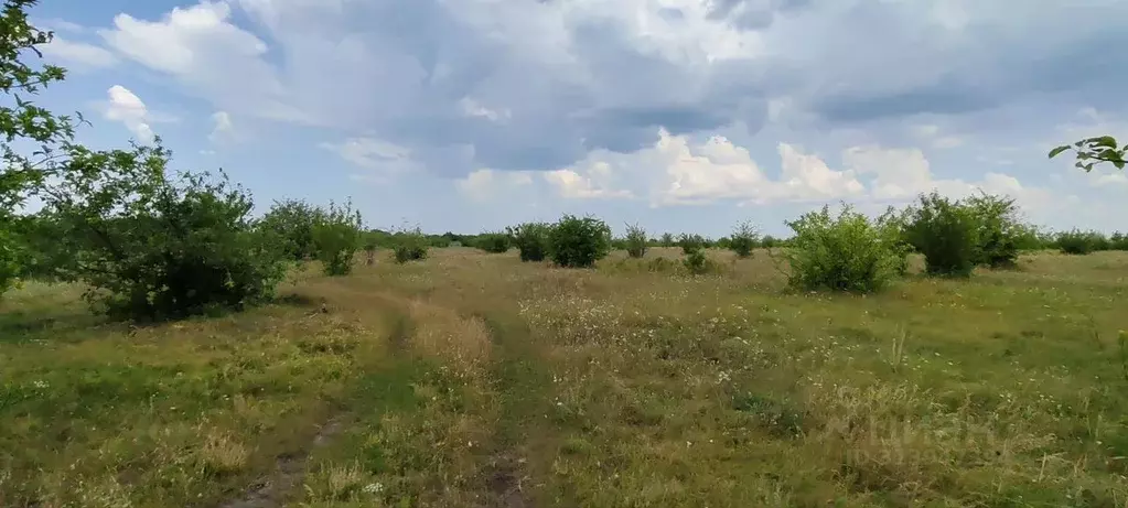 Участок в Саратовская область, Балаковский район, с. Красный Яр  (6.0 ... - Фото 0